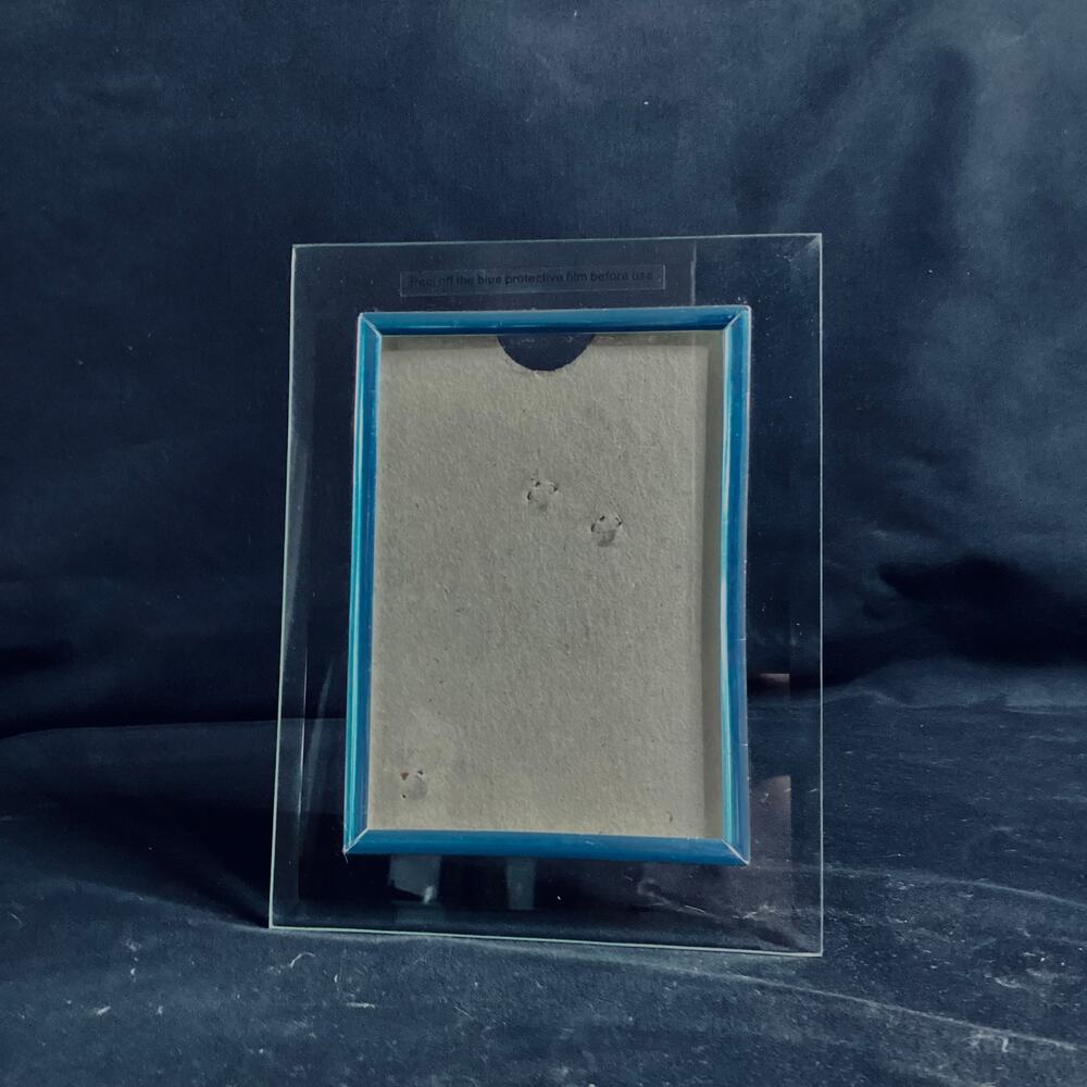 NWOT Glass Picture Frame